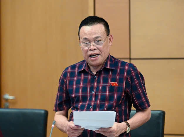 Đại biểu Quốc hội Nguyễn Như So phát biểu (Ảnh: Minh Nam)
