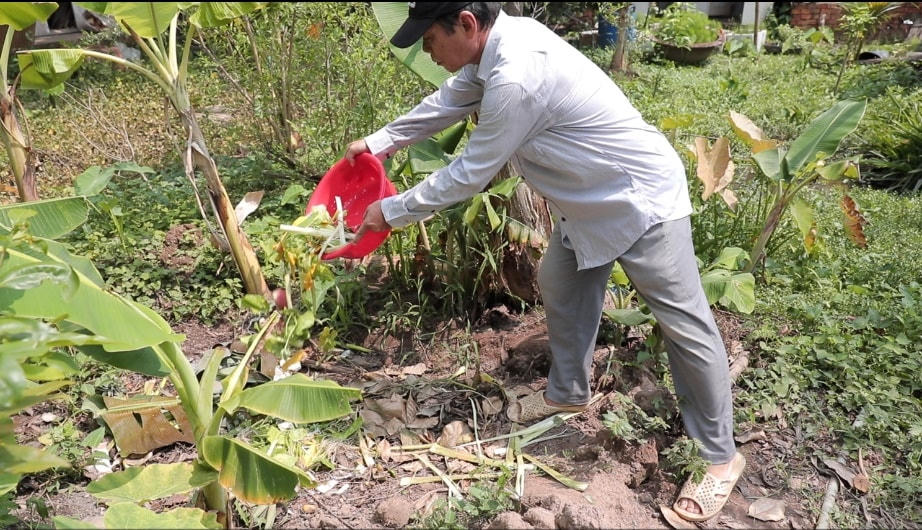 Người dân Cồn Sơn gom rác hữu cơ vào Vòng tròn chuối để ủ phân.