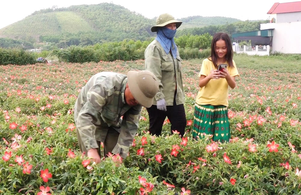 Đồng bào Mông ở xóm Đồng Tâm, xã Động Đạt, huyện Phú Lương yên tâm lao động sản xuất trên diện tích đất được giao.