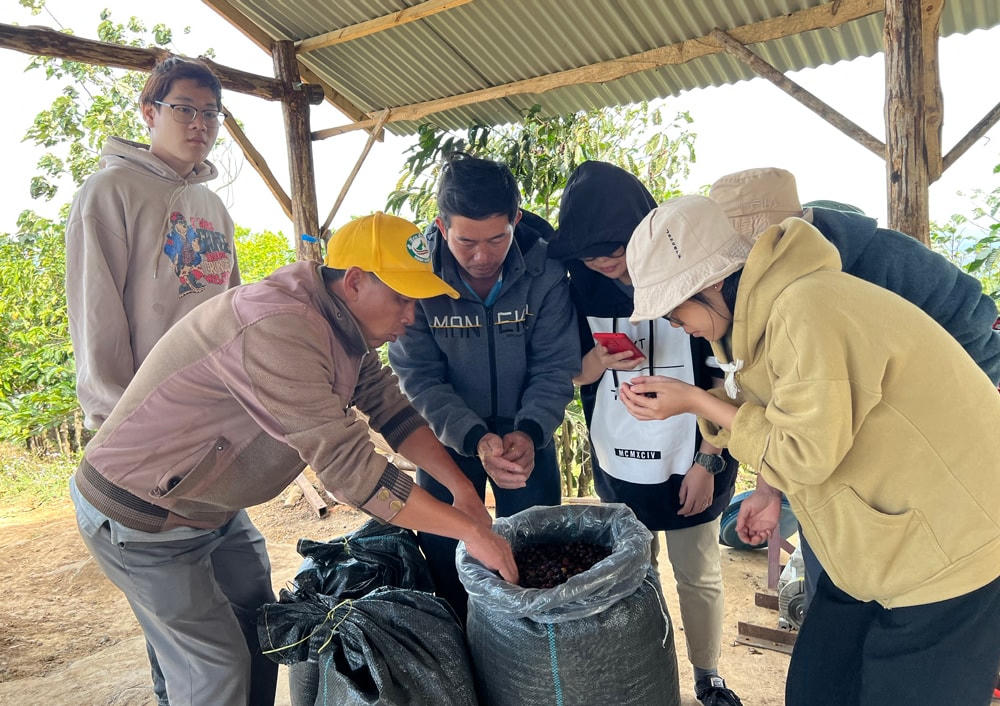 Hướng dẫn cách sơ chế lên men, để cà phê đạt chất lượng tốt nhất, cho các học viên.