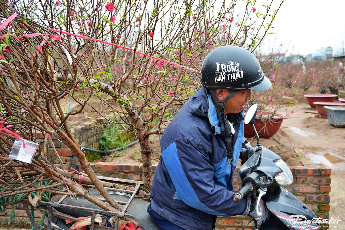 W_dao_nhat_tan-le-khanh9.jpg