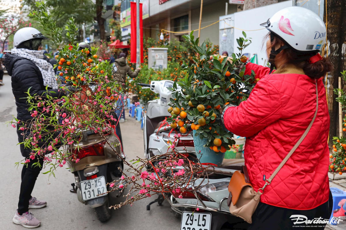 quat_dao-le-khanh58.jpg
