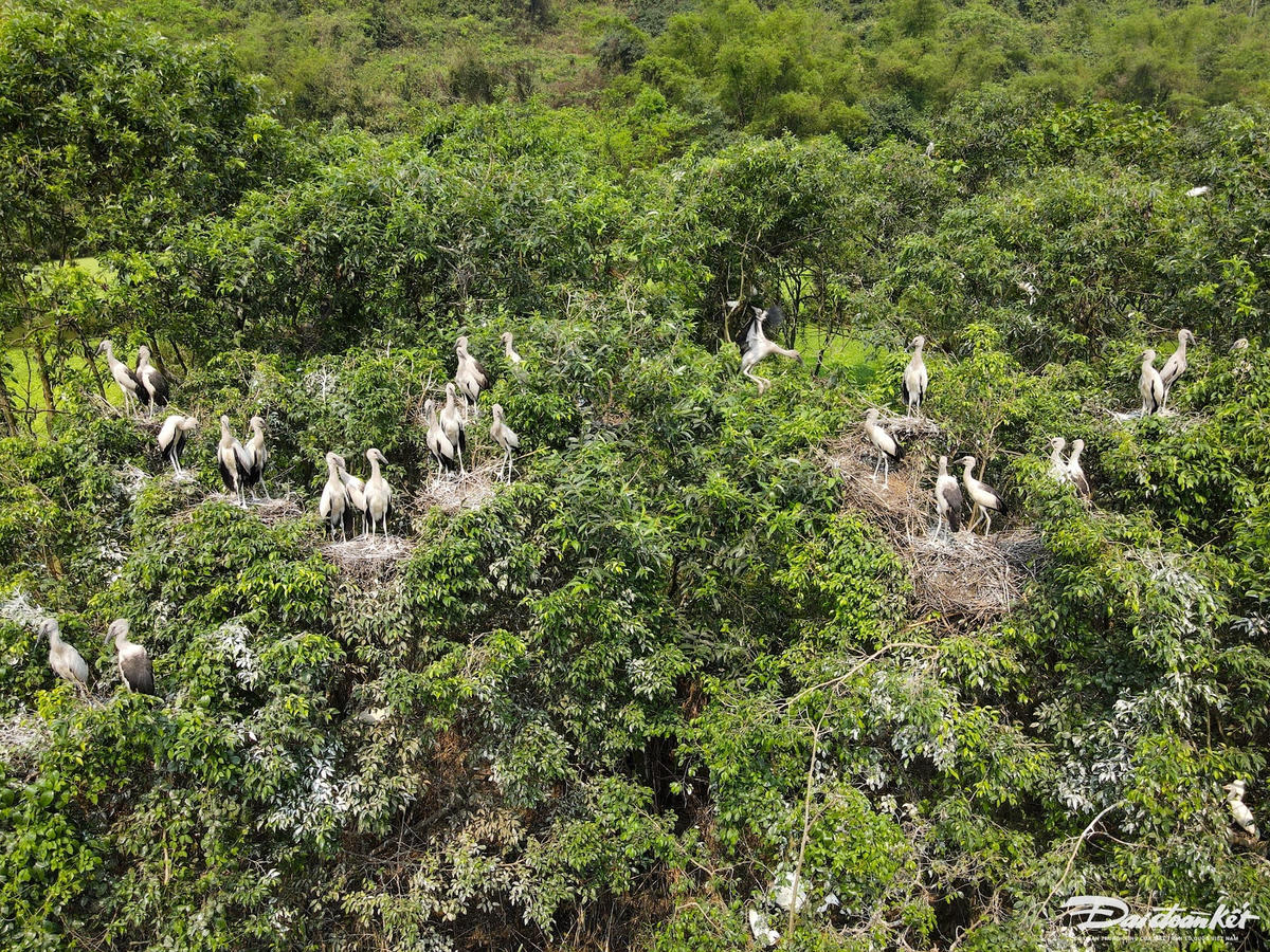 dji_fly_20240402_100306_966_1712596267093_photo.jpg