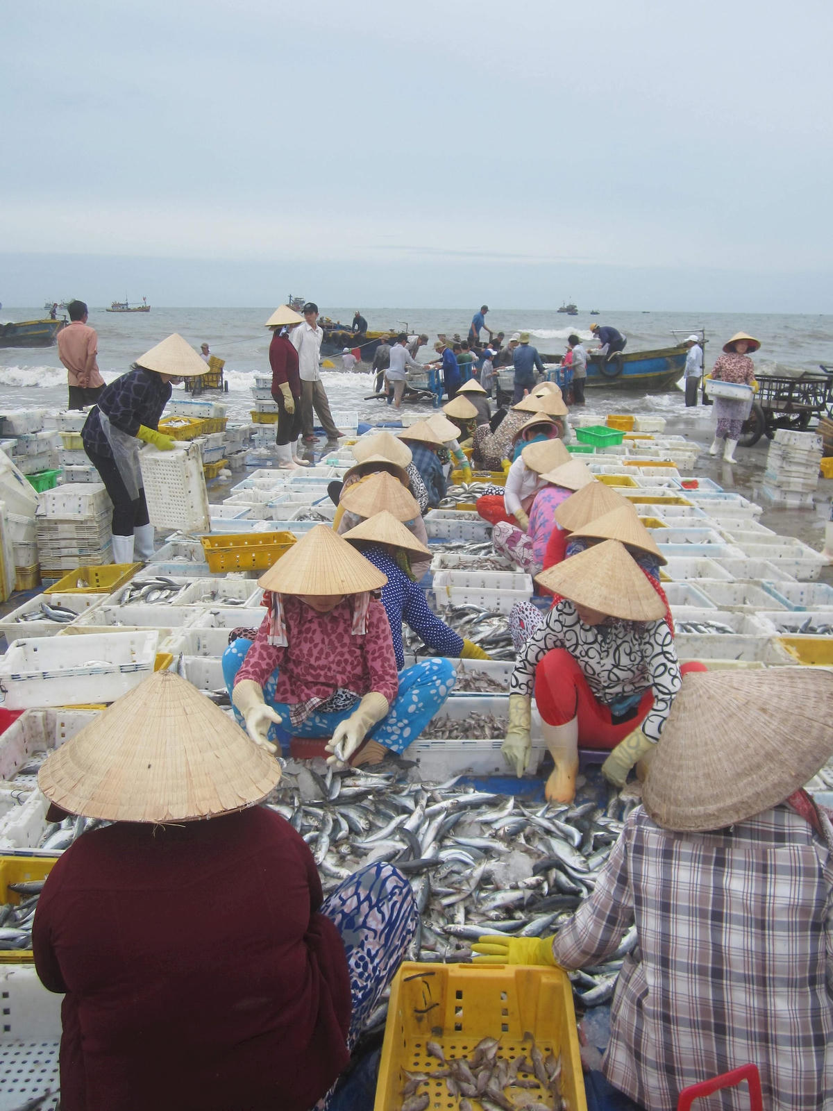 Ảnh 3-Những bóng hồng mùa biển động