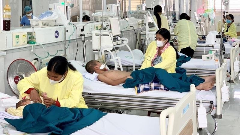 Điều trị cho bệnh nhân sốt xuất huyết.