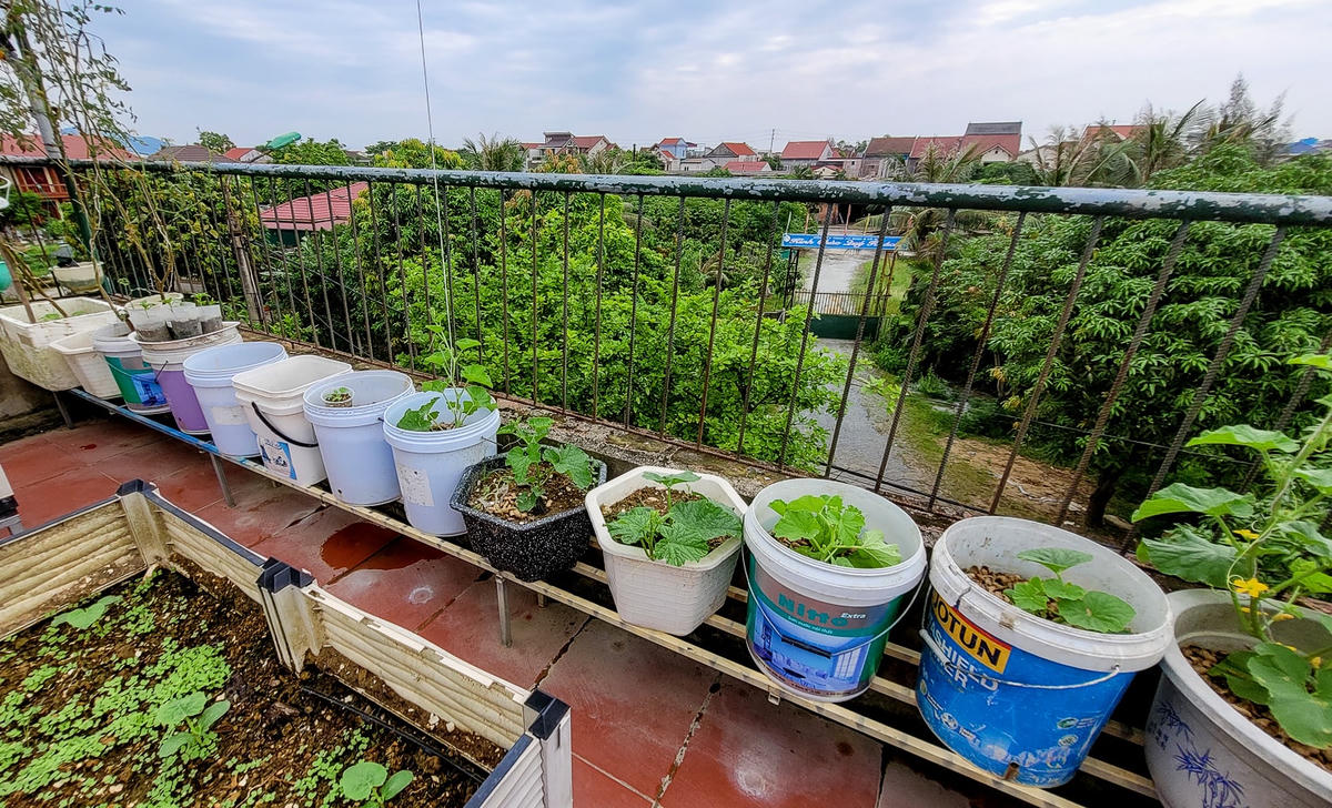 Mê mẩn khu vườn xanh mướt gần 100 m2 trên tầng thượng ở Hà Tĩnh
