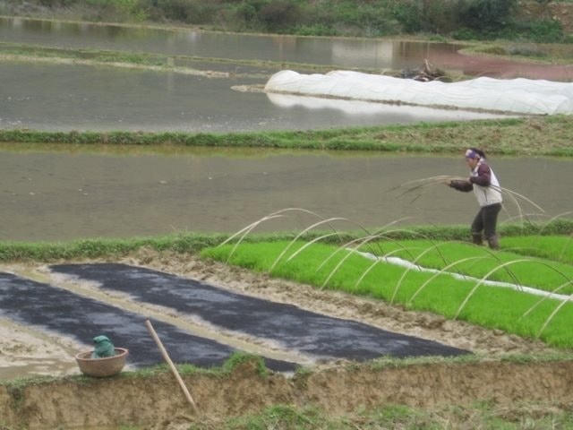 anh-lao-cai-25-11-b.jpg