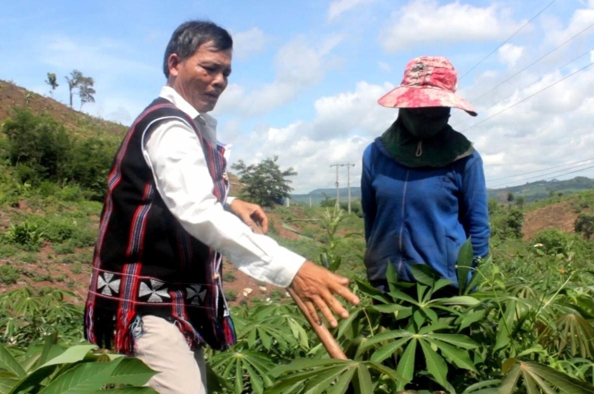 anh-2-trang-7.jpg