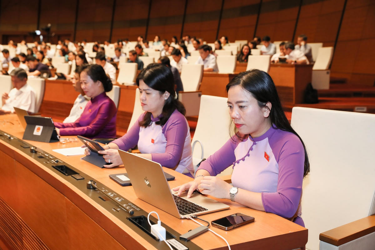 Các đại biểu tham dự kỳ họp (Ảnh: Quang Vinh).