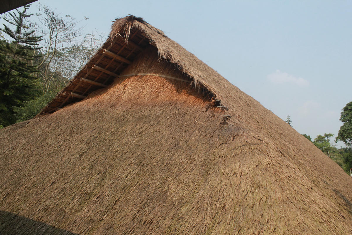 Mái nhà tranh. Ảnh: Việt Khánh.  
