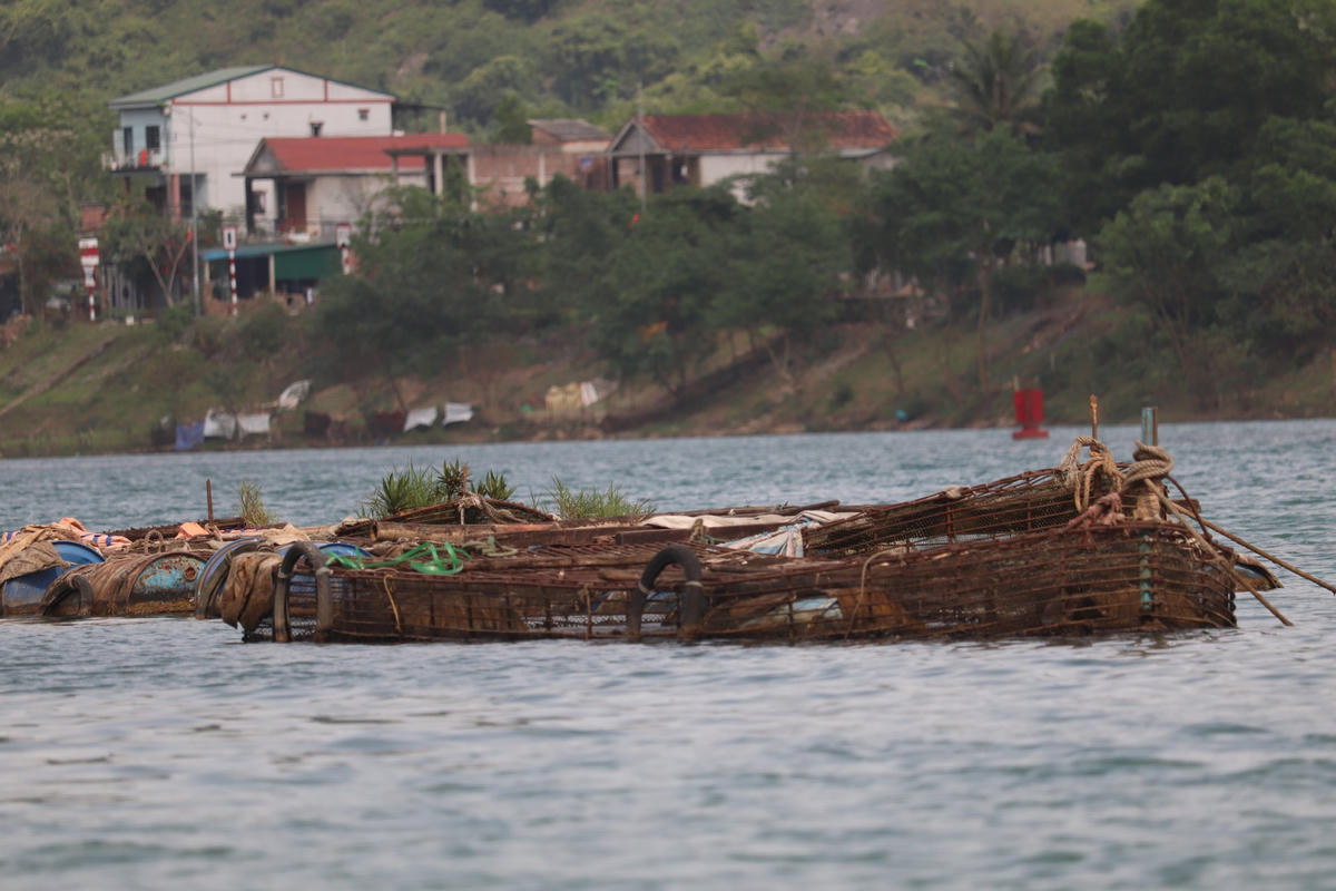 Những lồng cá được nuôi giữa dòng sông Son.