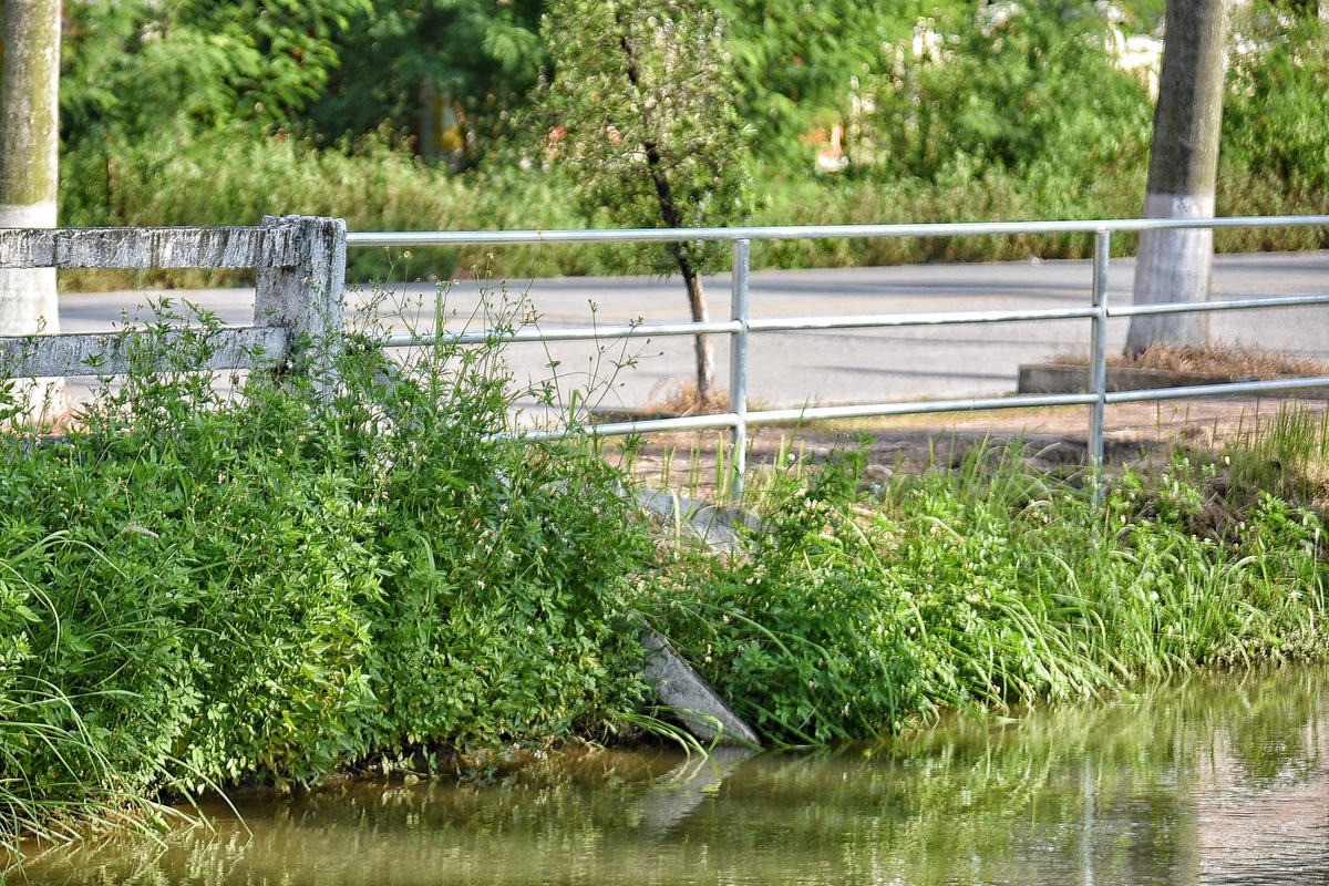 Tương tự, bà Uông Thị Hà (51 tuổi, ở xã Hạ Mỗ, huyện Đan Phượng) cho biết, đường mương này có vài đoạn bị sạt lở từ lâu, tiềm ẩn nguy hiểm cho cả người lớn lẫn trẻ nhỏ khi đi qua đây.