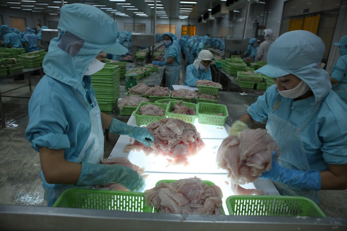 Doanh nghiệp thủy sản nhận được nhiều đơn hàng dịp cuối năm. Ảnh: Quang Vinh.