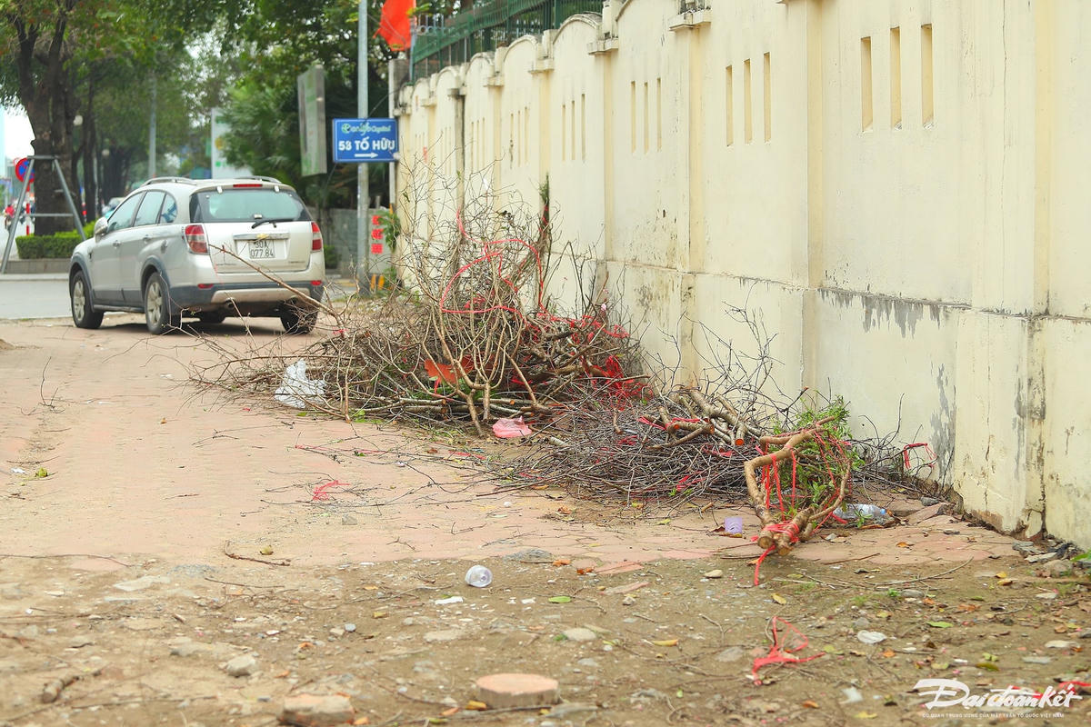 W_dao_quat_xa_lo-le-khanh13.jpg