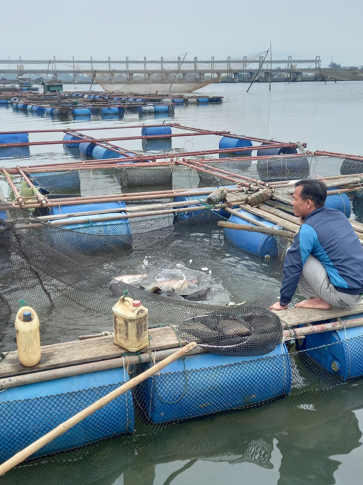 Lồng cá của ông Nguyễn Văn Chắt.