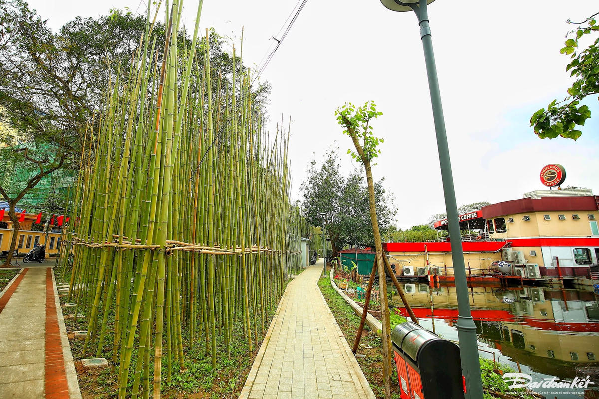 W_rung_truc-le-khanh2.jpg