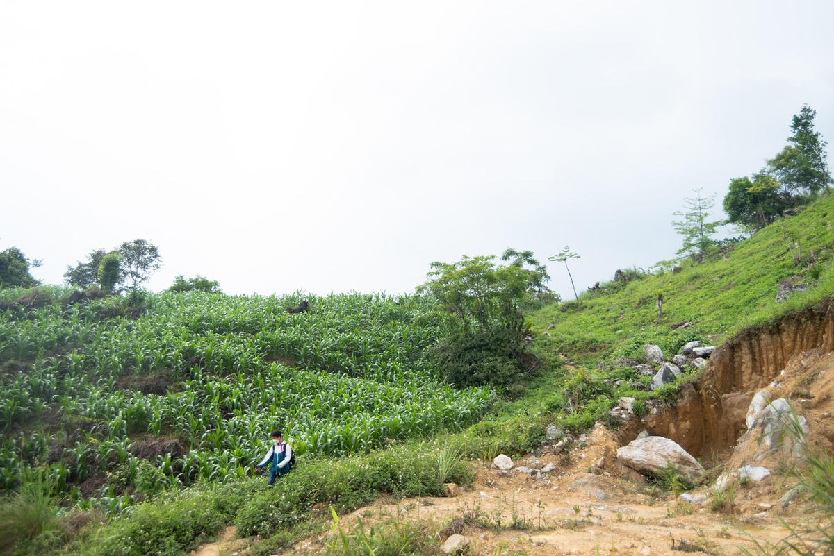 Đoạn đường đi học của Lương vào mỗi mùa mưa thường gặp phải tình trạng xói mòn và trơn trượt, rất nguy hiểm.