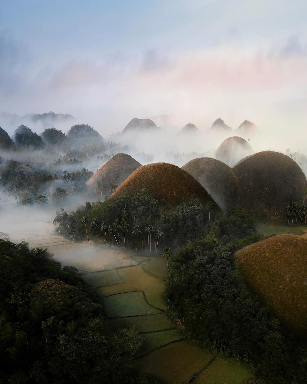 Ngọn đồi Chocolate: Kỳ quan siêu hiếm và truyền thuyết được truyền tai nhiều đời