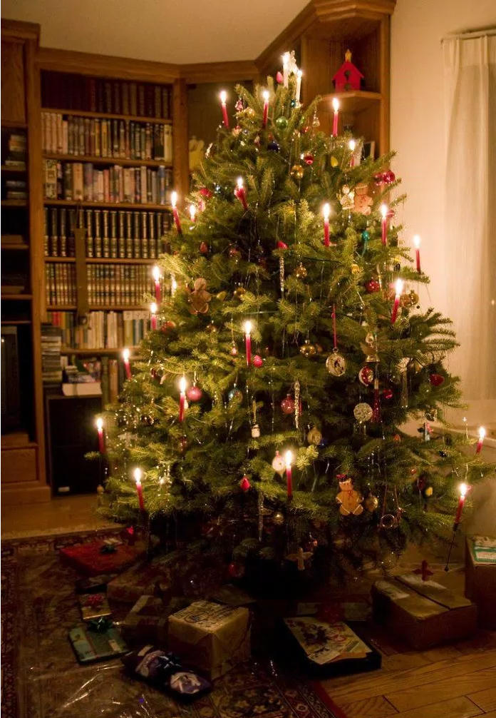 Khi chưa có điện và đèn nháy, người ta trang trí cây thông Noel bằng nến.