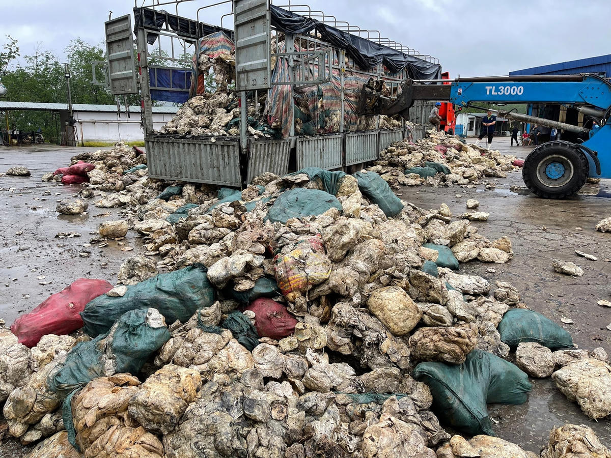 Lực lượng chức năng phát hiện công ty cao su Huy Anh có hành vi đổ chất thải rắn không đúng quy định về bảo vệ môi trường.