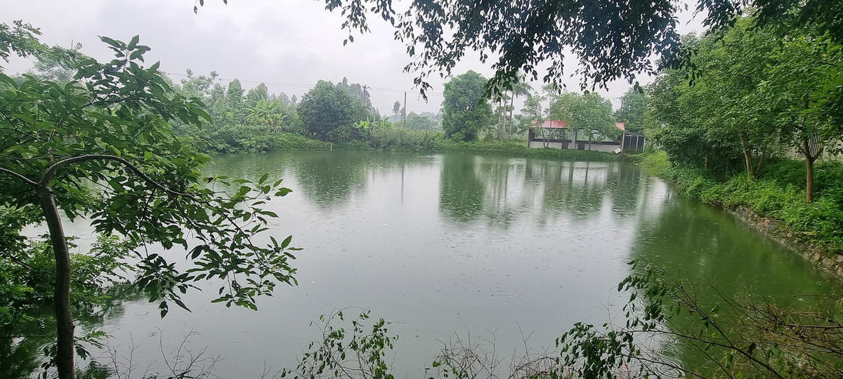 Nhà đầu tư tự ý đào ao thả cá tại trạm dừng nghỉ Km22 + 900. Ảnh: Hà An.