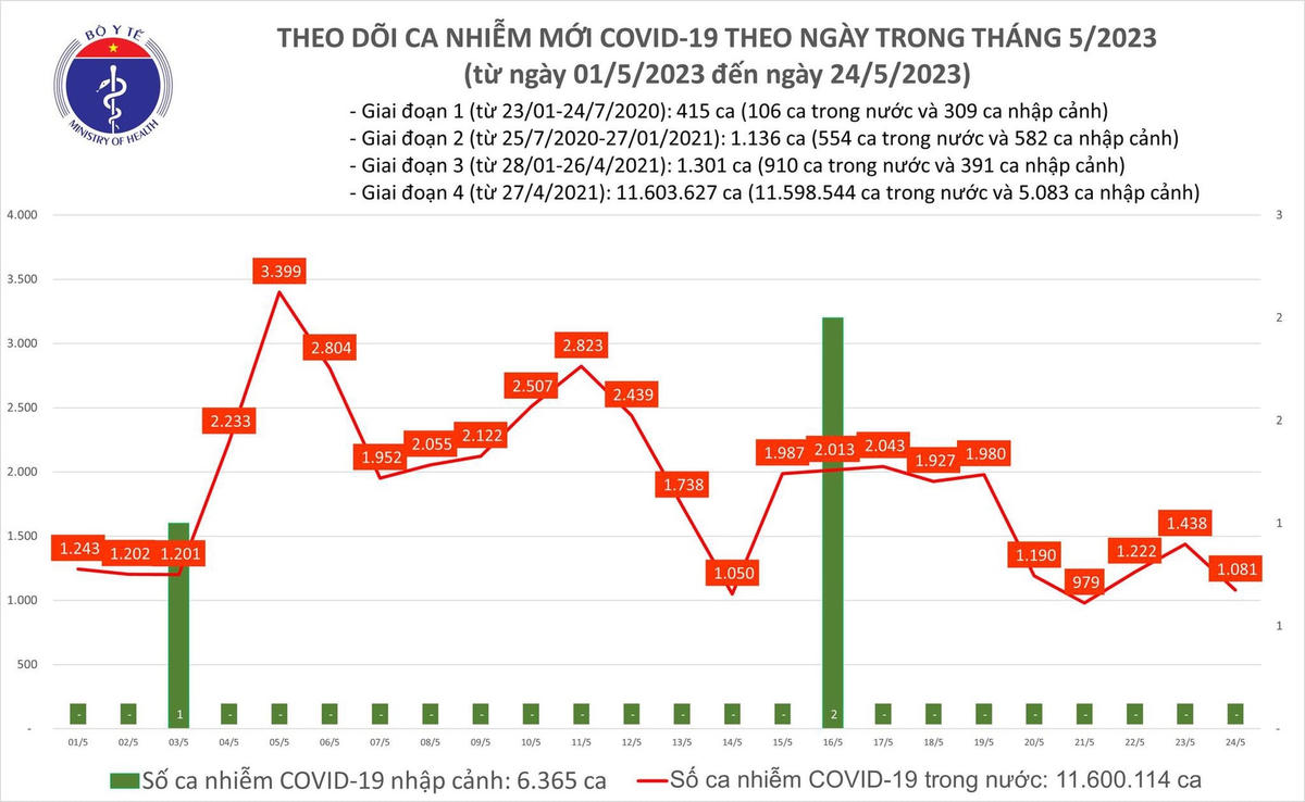 Biểu đồ số ca mắc Covid-19 tại Việt Nam thời gian qua.