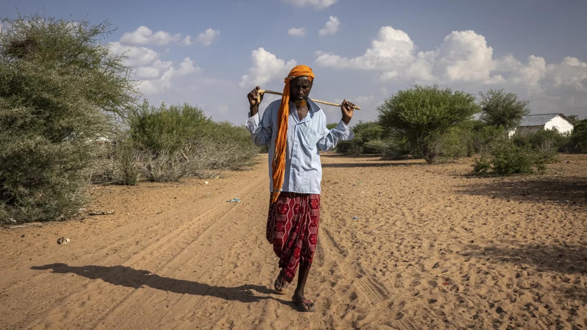 Vùng ngoại ô của làng Dahably thuộc Hạt Wajir, Kenya, năm 2021.