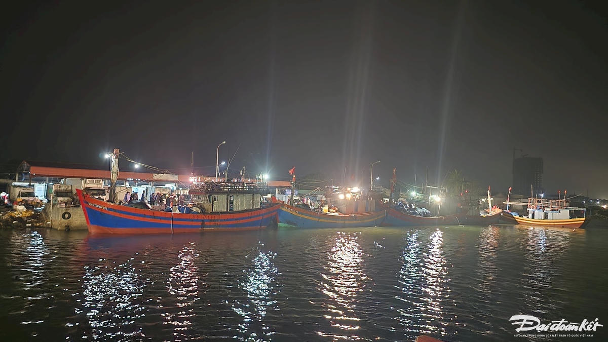 W_ca-3.jpg