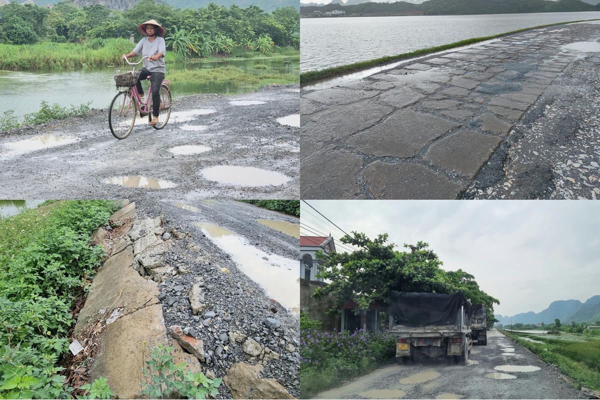Được coi là những tấm lá chắn bảo vệ hồ nước ngọt nhưng các tuyến đê tại huyện Yên Mô (Ninh Bình) đang xuống cấp mà chưa được sửa chữa kịp thời.
