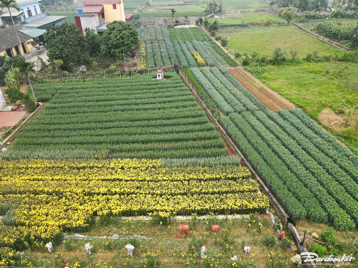 dji_0957.jpg