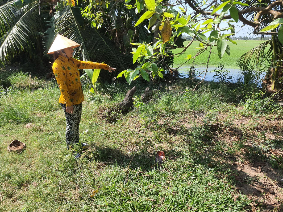 Bà Trần Thị Thu Tâm chỉ hố chôn heo do gia đình tự đào ở sau nhà.