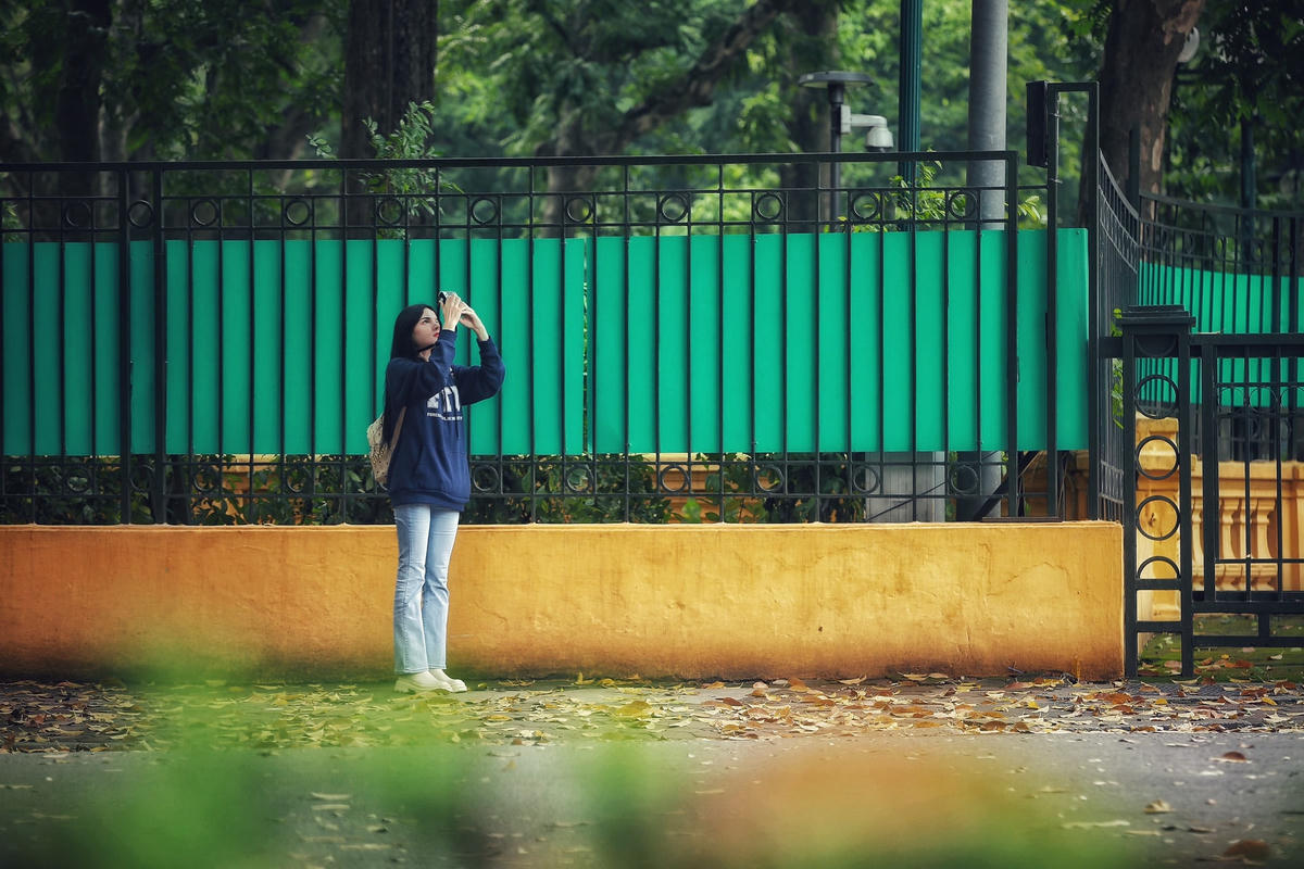 "Ngay sau khi thấy hình ảnh con đường thay lá trên mạng xã hội tôi đã ngay lập tức có mặt để chụp ảnh. Rất may, sau thời gian trời nồm ẩm thì nay đã hửng nắng để tôi có thể chụp được những bức ảnh ưng ý nhất", chị Thành cho hay.