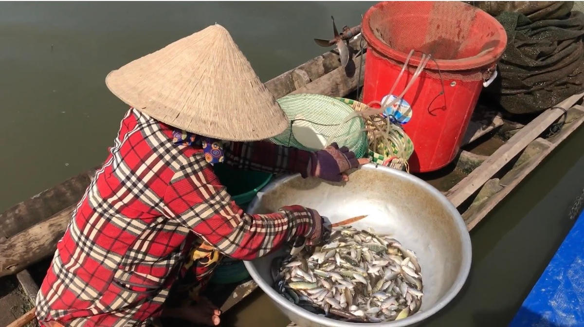 Một vựa sản vật ở chợ cá Trường Xuân.