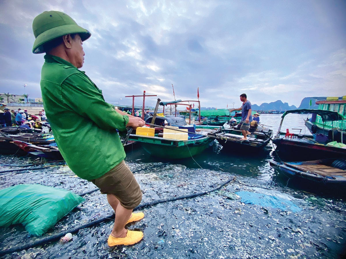 Ngư dân kéo thuyền vào bờ để chuẩn bị chuyển hàng lên bến.  
