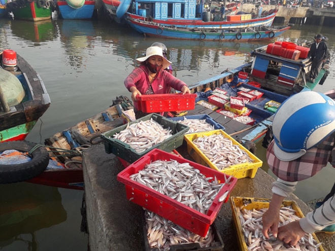 Ngư dân mong muốn thẻ vàng IUU sớm được gỡ bỏ để yên tâm bám biển.