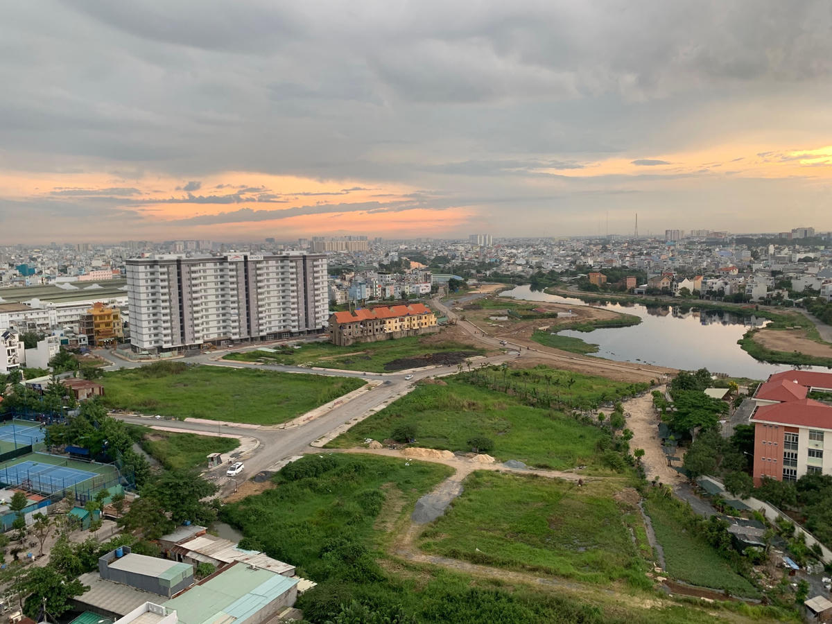 Đất trồng lúa tại TP HCM.