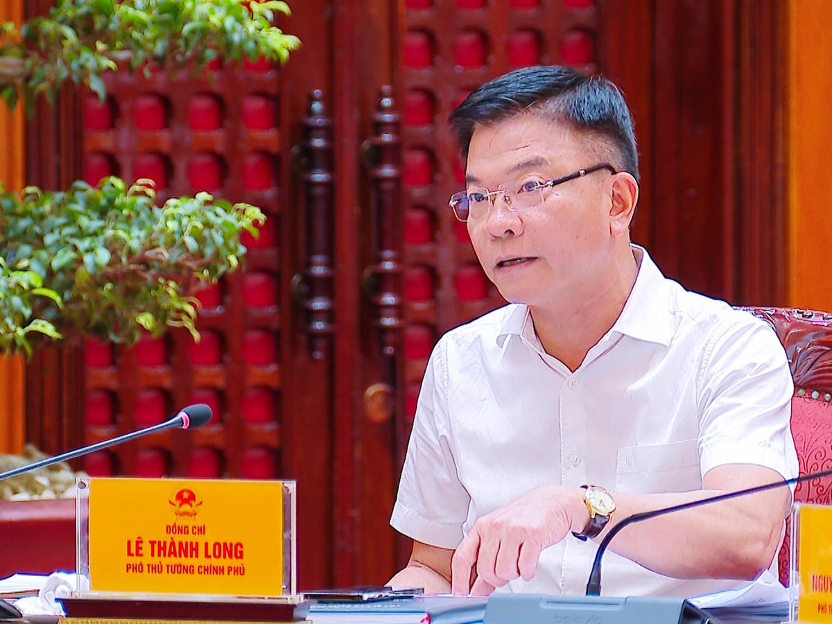 Thường trực Chính phủ cho ý kiến về 4 nội dung quan trọng- Ảnh 4.