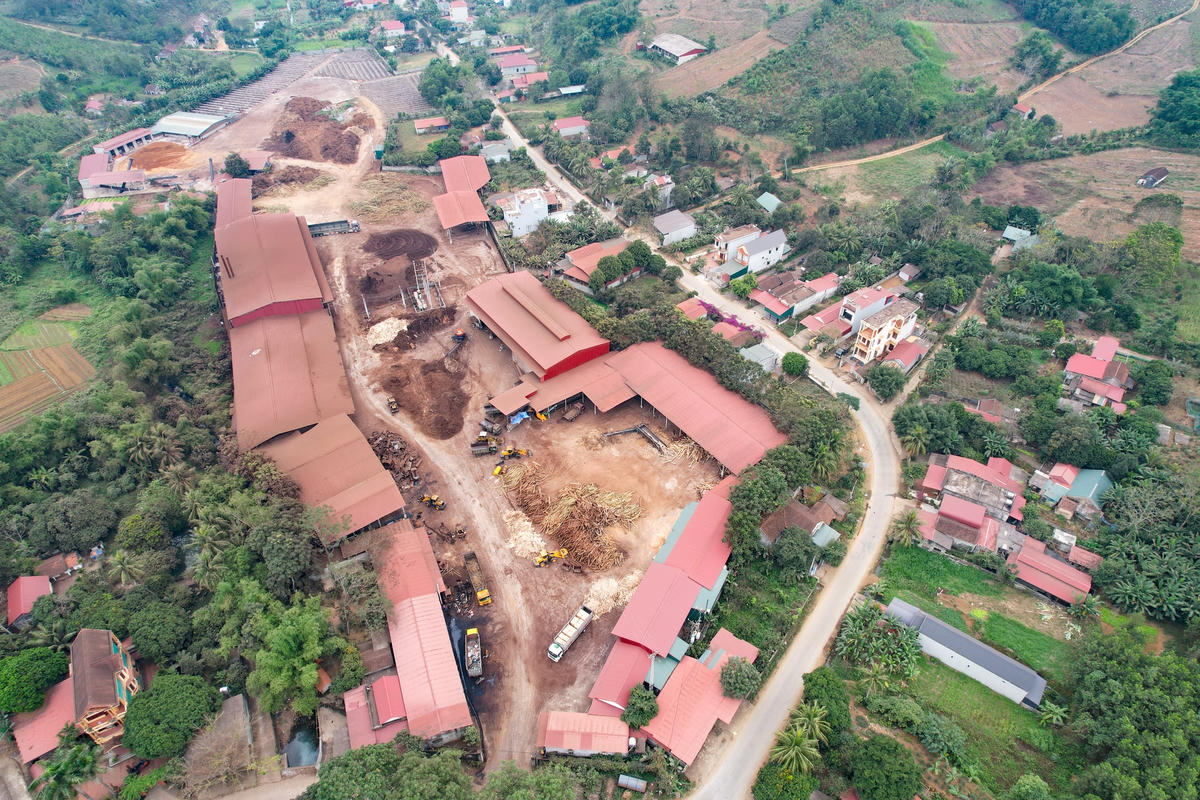 Nhà máy chế biến gỗ của Công ty TNHH Đạm Xuân nằm lọt thỏm giữa khu dân cư.