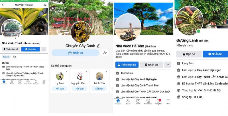 Những facebook giả mạo bán cây cảnh do Lê Văn Vĩnh lập ra để lừa đảo.