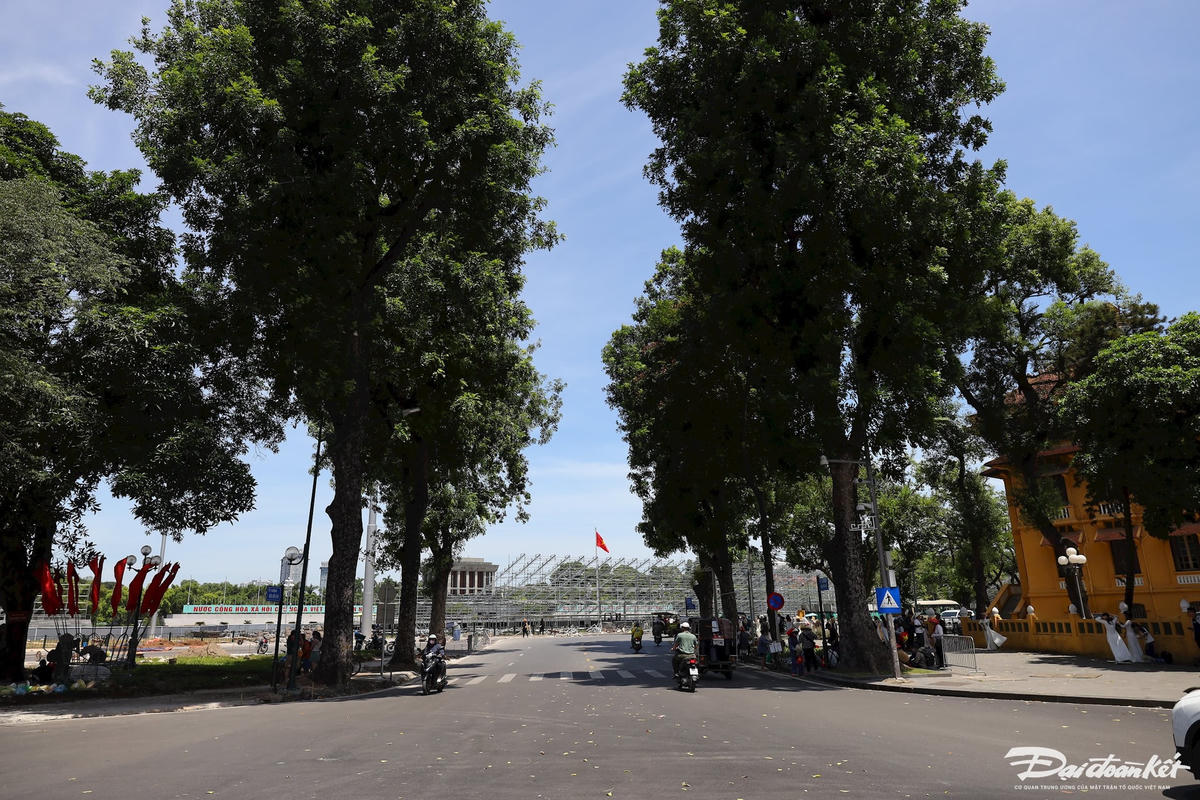 ảnh dỡ rào9