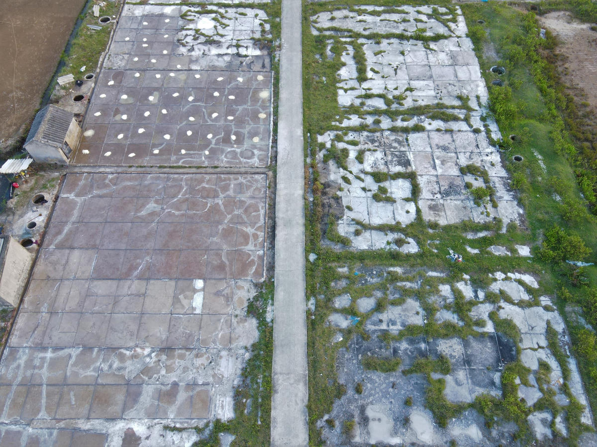 Nhiều mảnh ruộng bỏ hoang dẫn đến sân phơi muối cũng bị bong tróc, cỏ mọc kín các ô trống. Nhìn những hình ảnh này, thực không khỏi xót xa về quá khứ huy hoàng khi nghề muối Tam Hòa đã từng là nguồn thu nhập chính nuôi sống người dân Hòa Lộc.