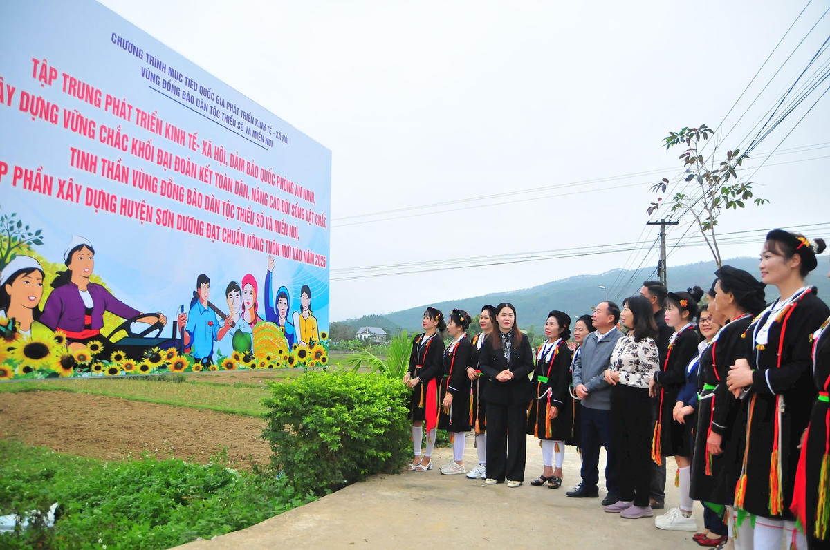 Hàng trăm cặp bò,