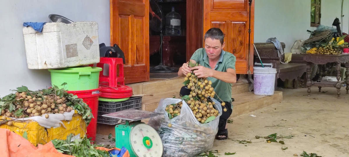 ảnh vốn chính sách 1