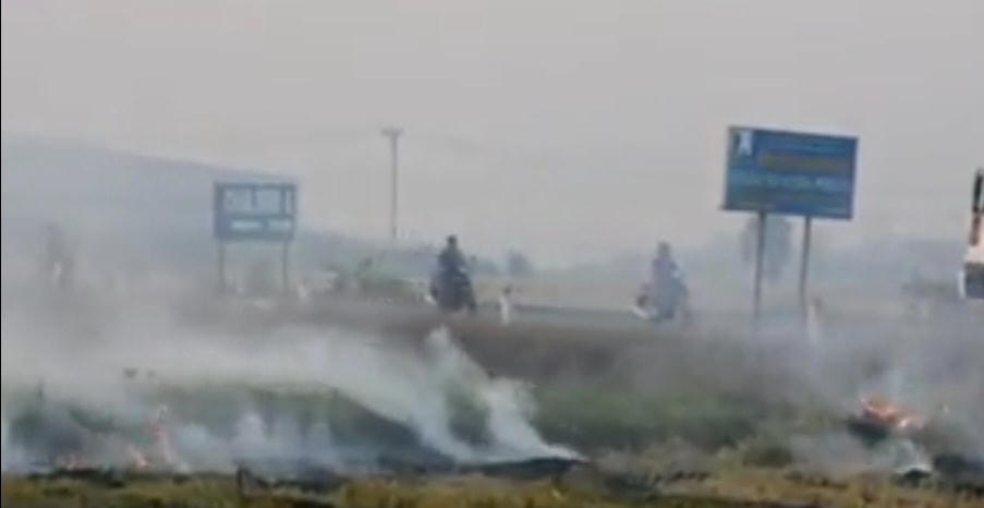 Hình ảnh thường thấy ở Nam Định trong thời điểm nông dân địa phương thu hoạch lúa.