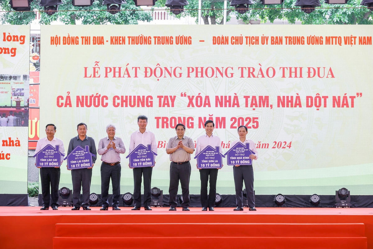 a8.jpg