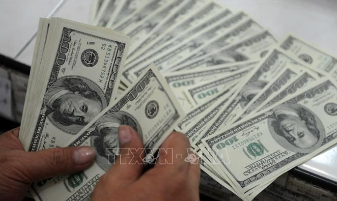 Trong 9 tháng đầu năm, Việt Nam đầu tư ra nước ngoài gần 400 triệu USD. Ảnh minh họa: TTXVN