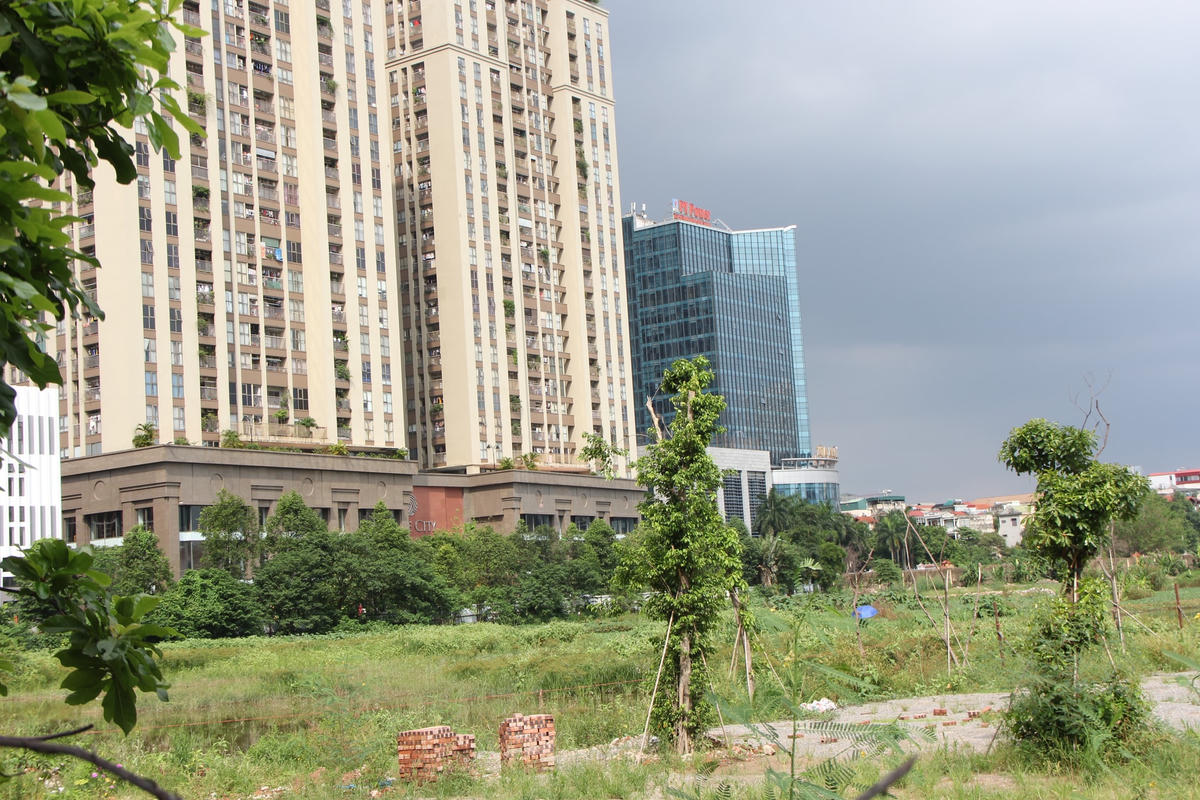 Dự án Công viên nghìn tỷ của Ocean Group - VNT trở thành nơi trồng rau, chăn vịt