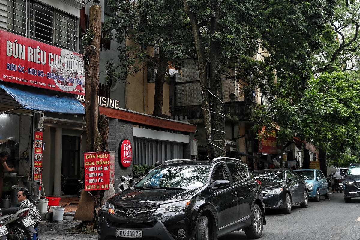 Tương tự, còn tại phố Thể Giao, một cây cao khoảng gần 10m, đường kính 40cm cũng đang có dấu hiệu chết khô đã không còn phần ngọn cây.