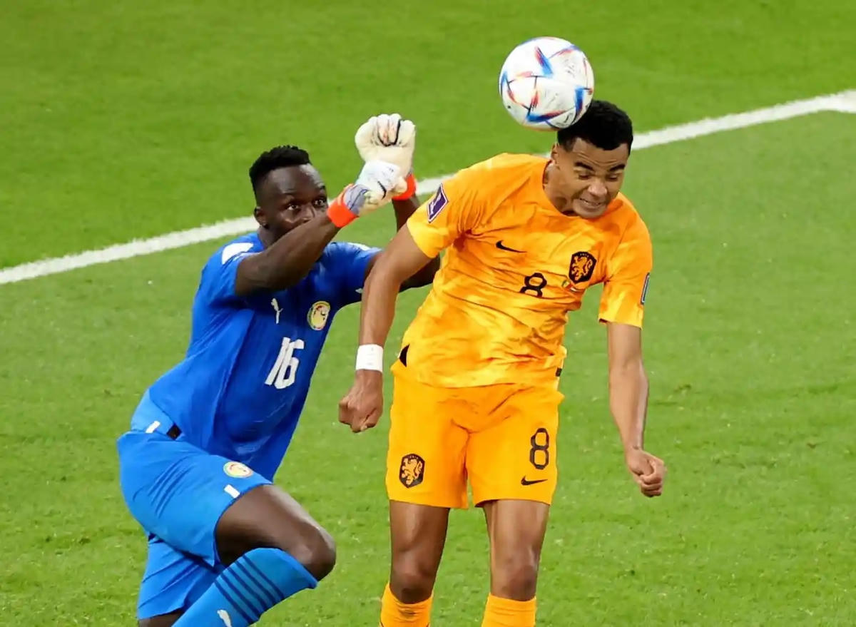 Cody Gakpo ghi bàn mở tỉ số cho Hà Lan.