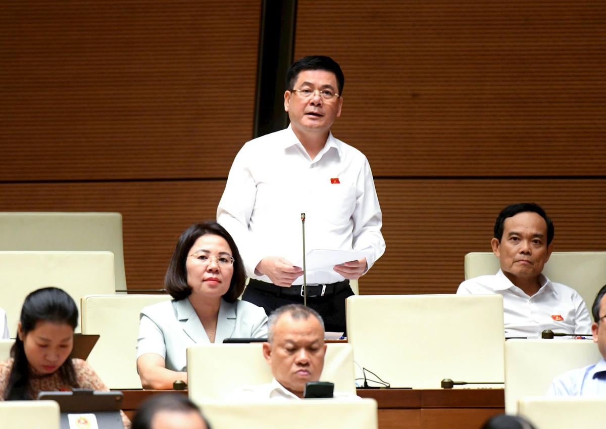 Nguyễn Hồng Diên - Hải Phòng